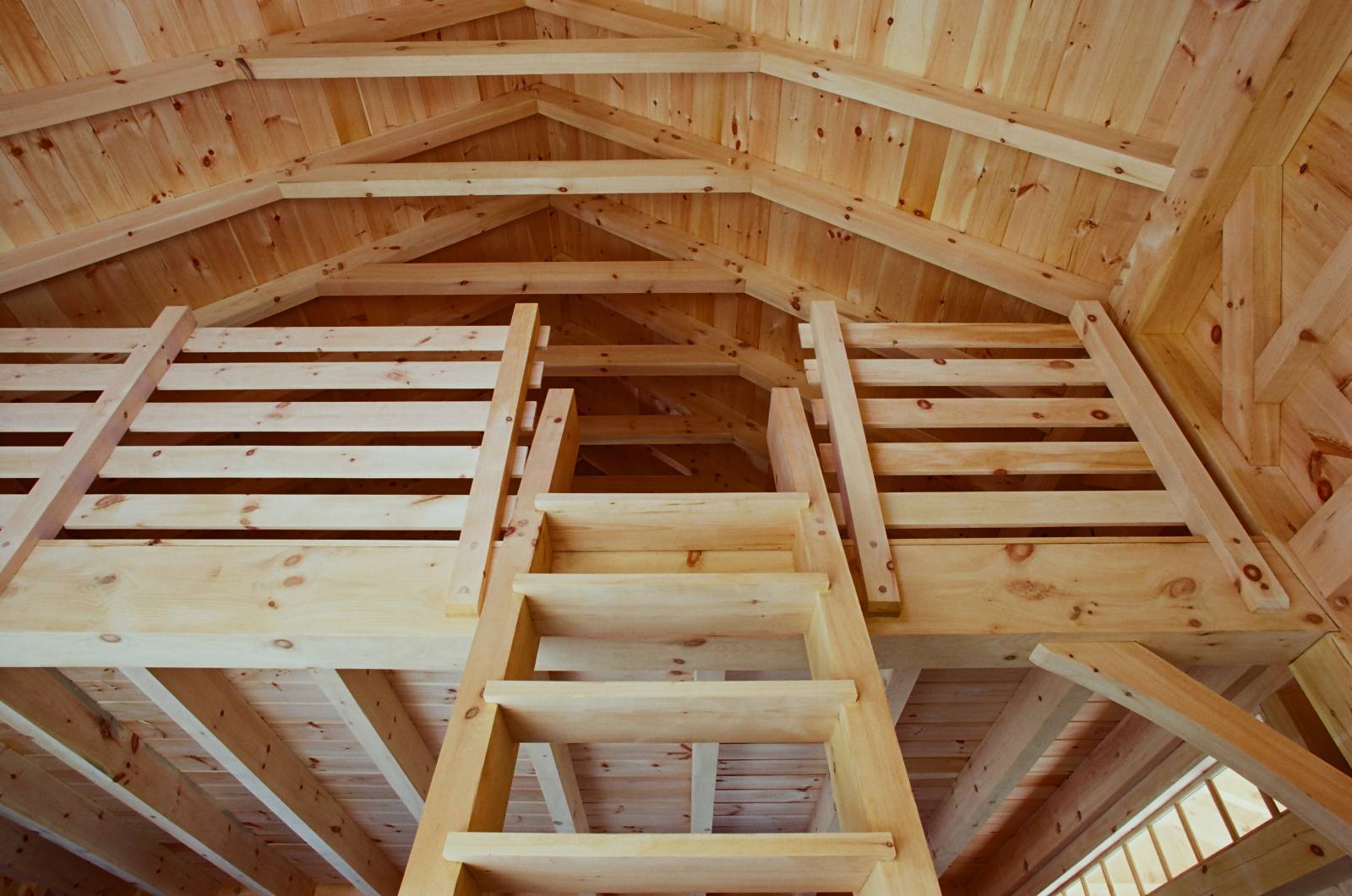 Interior • Timber Ladder to Loft