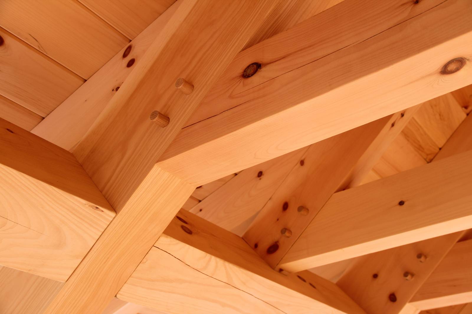 Detail: authentic timber frame joinery