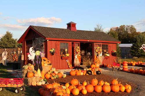 The shed in full autumn decor