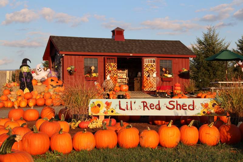 Lil' Red Shed