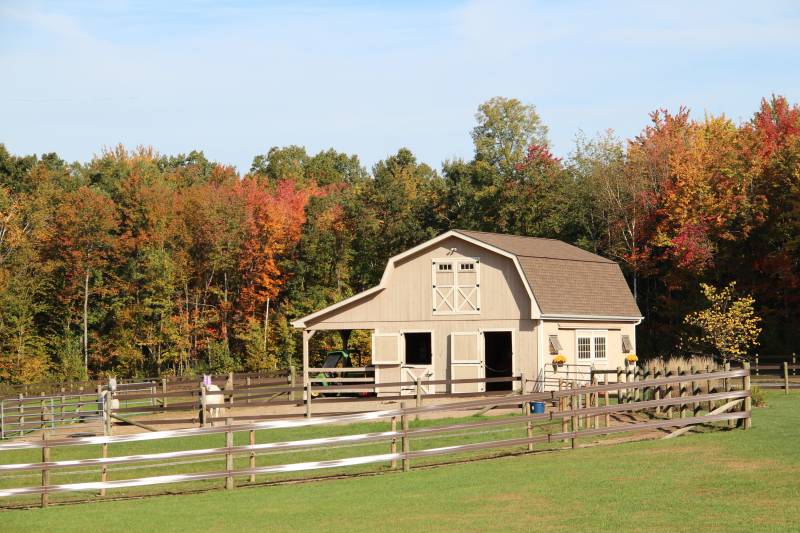 22' x 30' Patriot Horse Barn with Lean-To Overhang