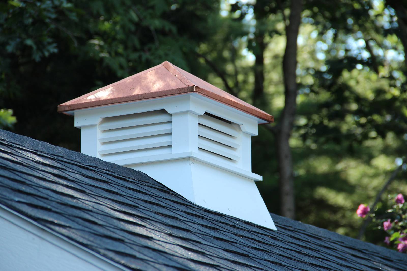 Copper top shed cupola
