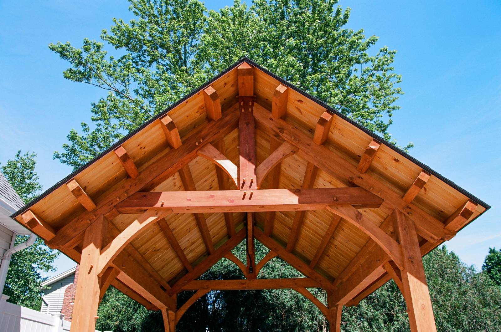 Looking up at the timber frame pavilion with common purlins & king post trusses