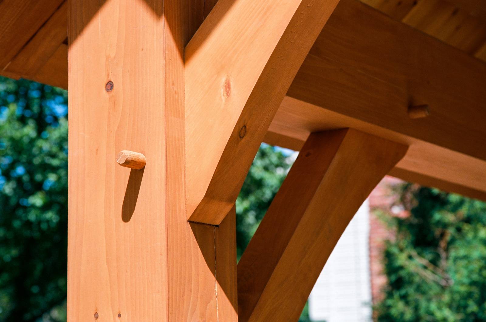 Timber frame joinery closeup: an oak peg secures an arched kneebrace in an 8x8 post. The kneebrace joinery is housed for greater strength.