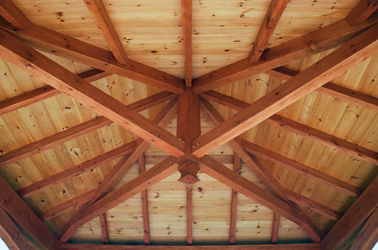 Inside the Timber Frame Pavilion with Boss Pin