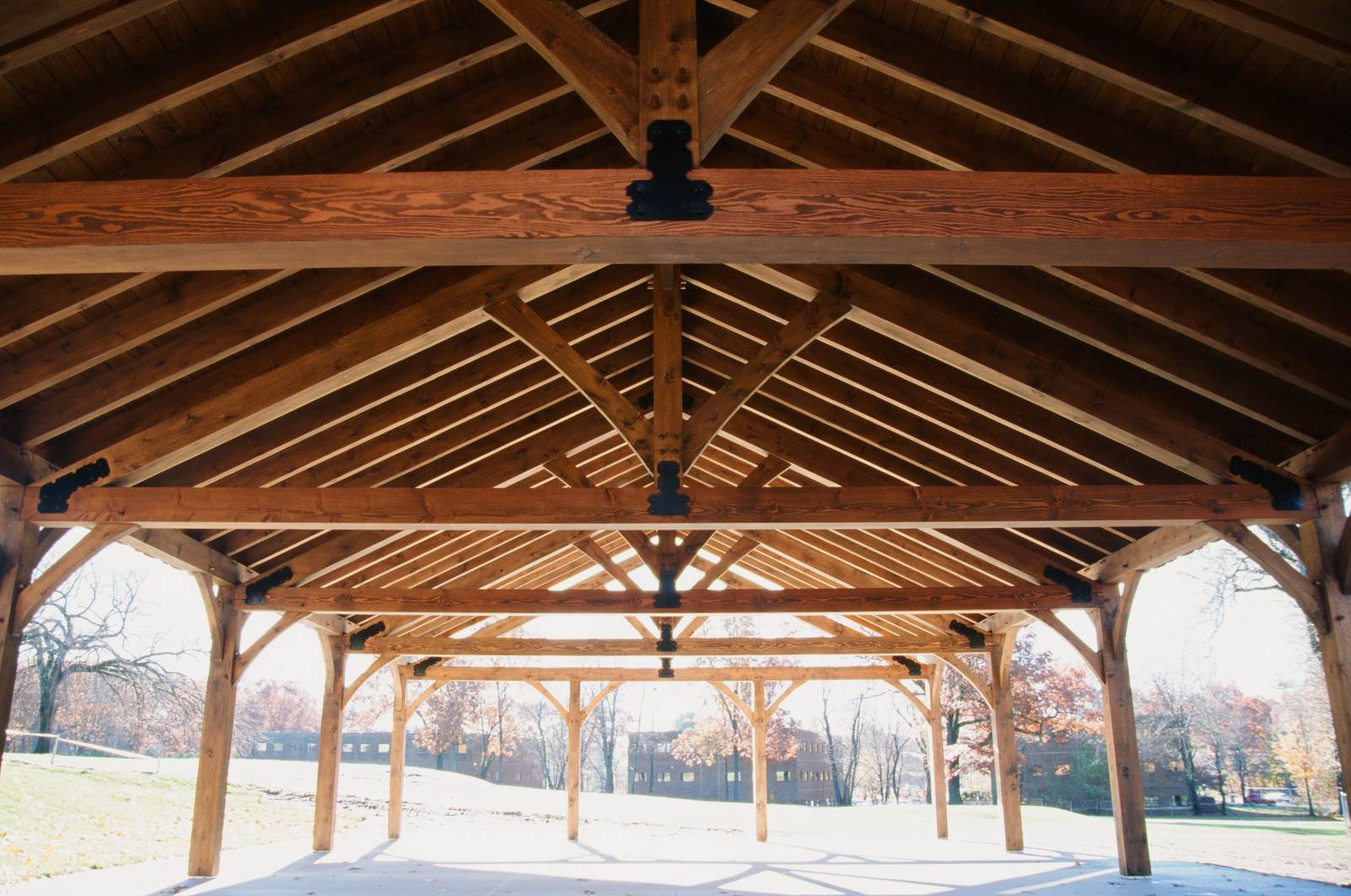 Under the Pavilion • 30' Clear Span Timber Frame