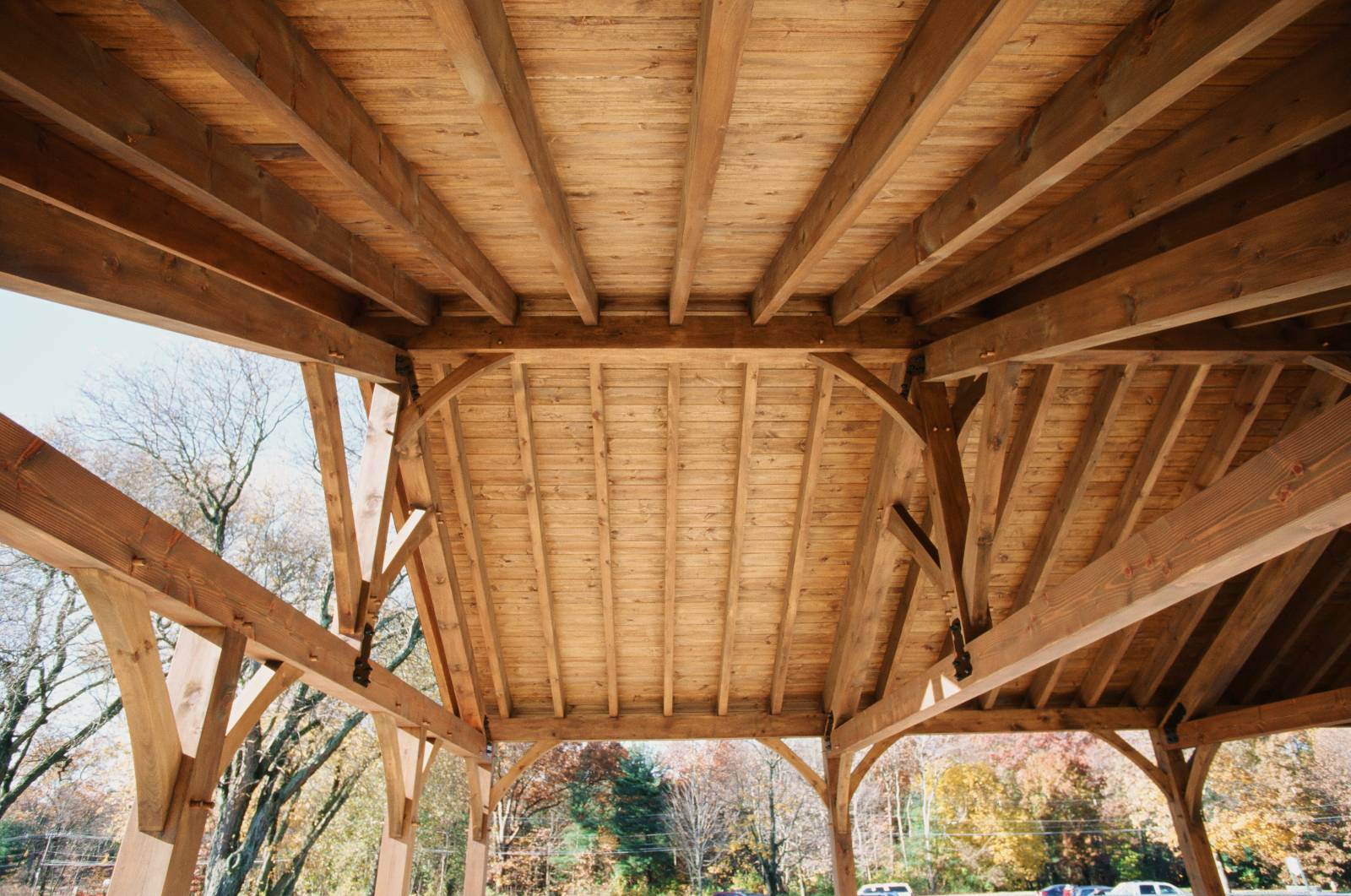 King Post Trusses with Arched Braces • Ridge Beam • Timber Rafters