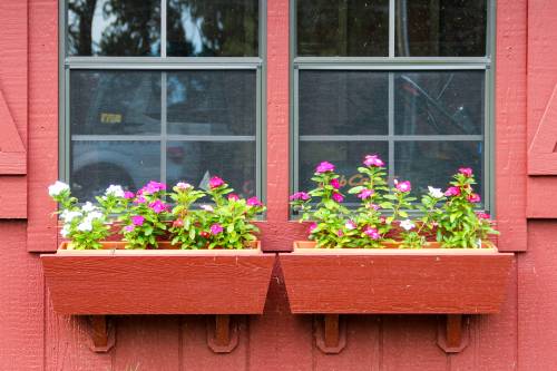 Side-by-Side Flower Boxes on Victorian Cottage