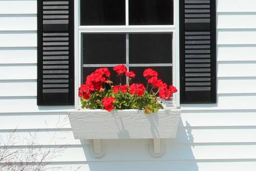 Traditional Cape Flower Box