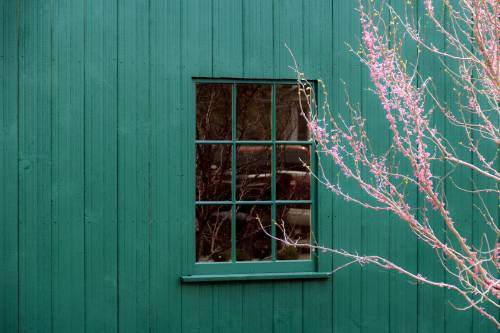 9-Lite Fixed Pine Sash Window