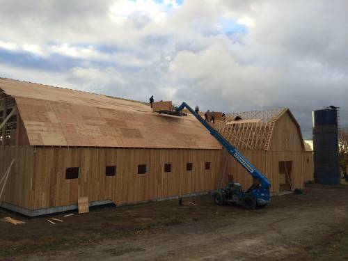 Plywood on Roof