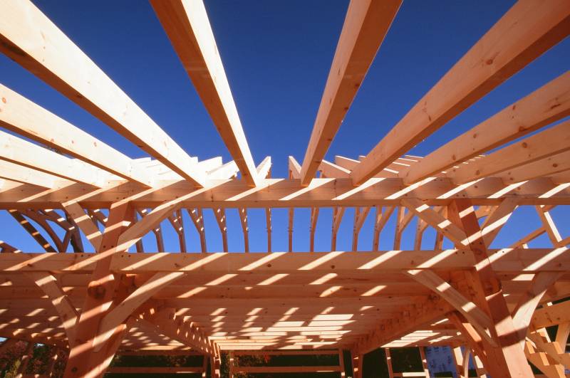 Strong lines in the timber frame kit (looking up in the lean-to)