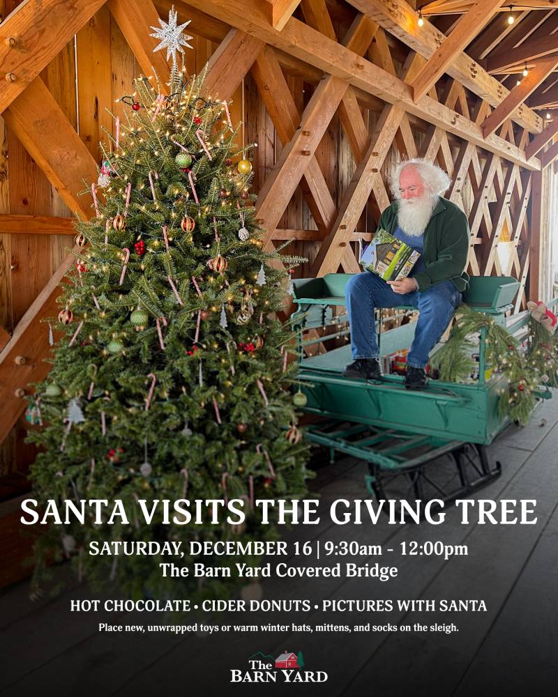 Santa Visits the Giving Tree 2023